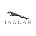 Jaguar/Mercedes